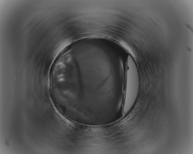 X0000091681095200709131542