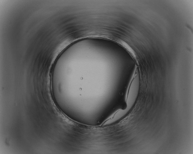 X0000091681096200709131542