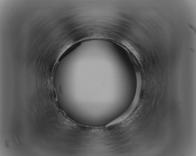 X0000091681097200709131542