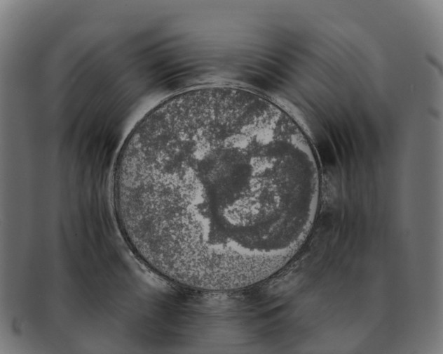 X0000091681098200709131542