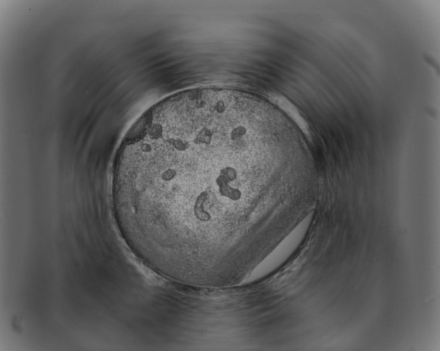 X0000091681099200709131542