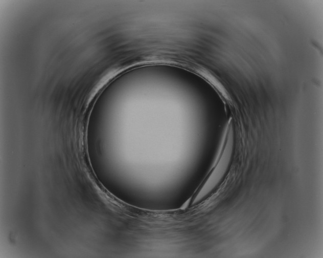 X0000091681101200709131542