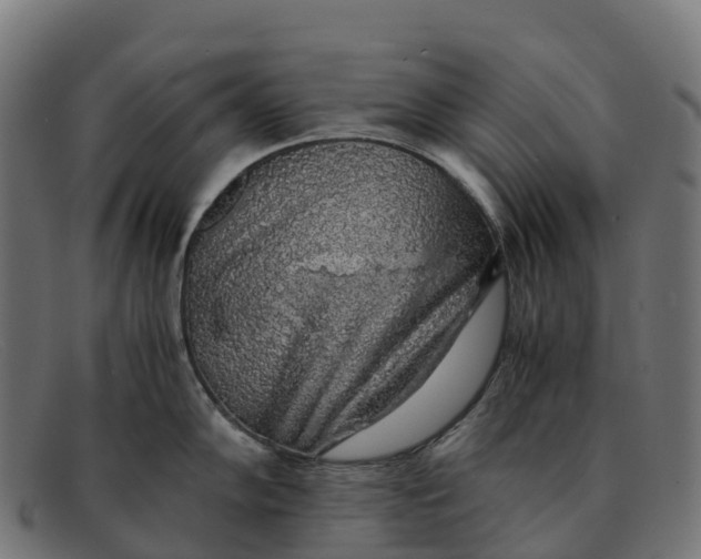 X0000091681102200709131542