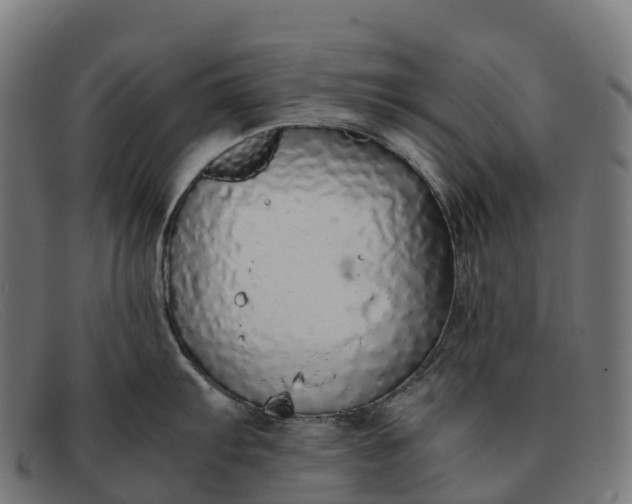 X0000091681103200709131542