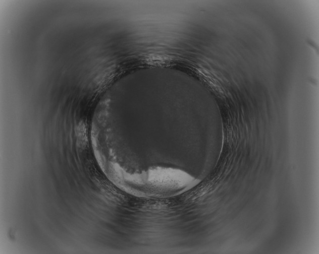 X0000091681106200709131542