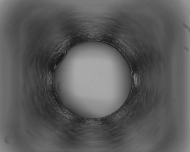 X0000091681107200709131542