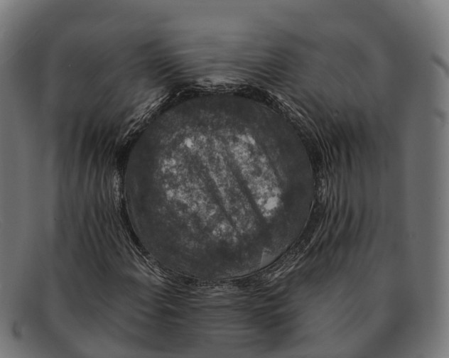 X0000091681108200709131542