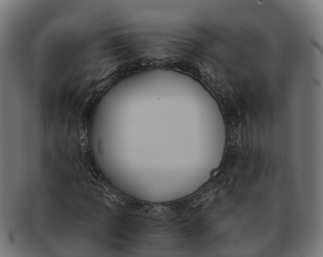 X0000091681109200709131542