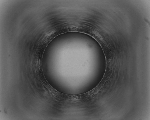 X0000091681111200709131542