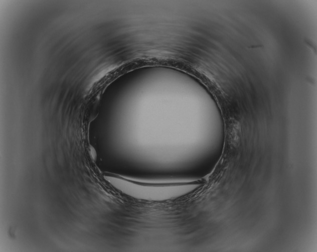 X0000091681112200709131542