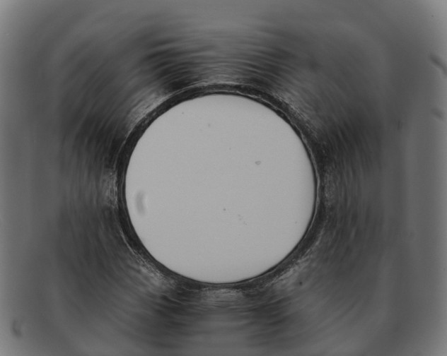 X0000091681113200709131542