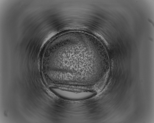 X0000091681114200709131542