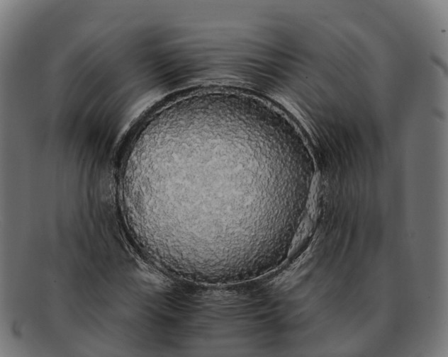 X0000091681115200709131542