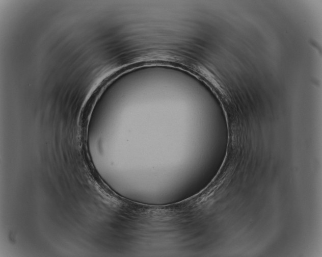 X0000091681116200709131542