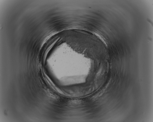 X0000091681117200709131542