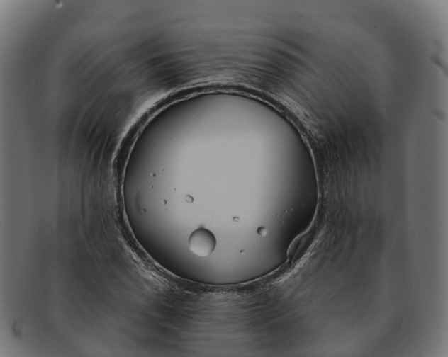 X0000091681118200709131542