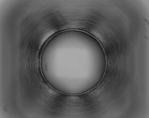 X0000091681119200709131542