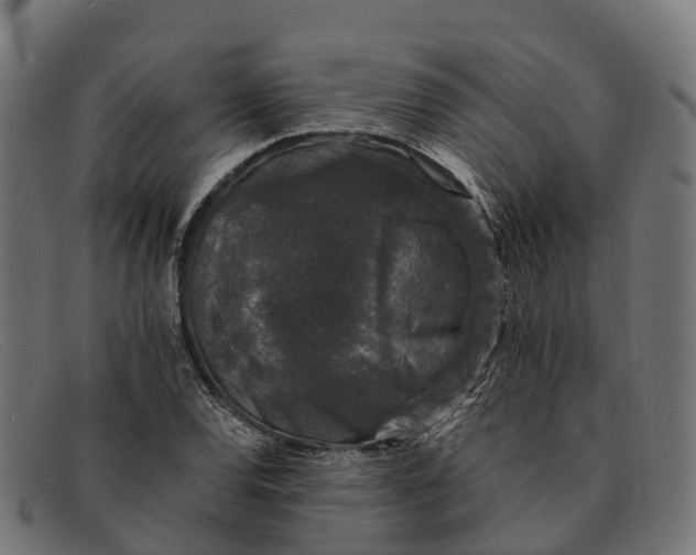 X0000091681120200709131542