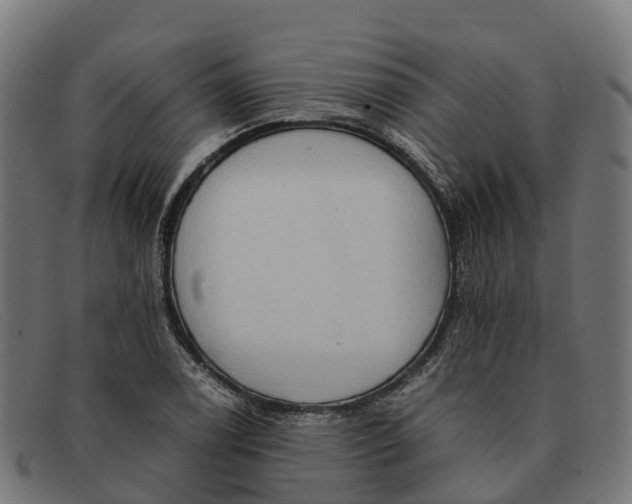 X0000091681122200709131542