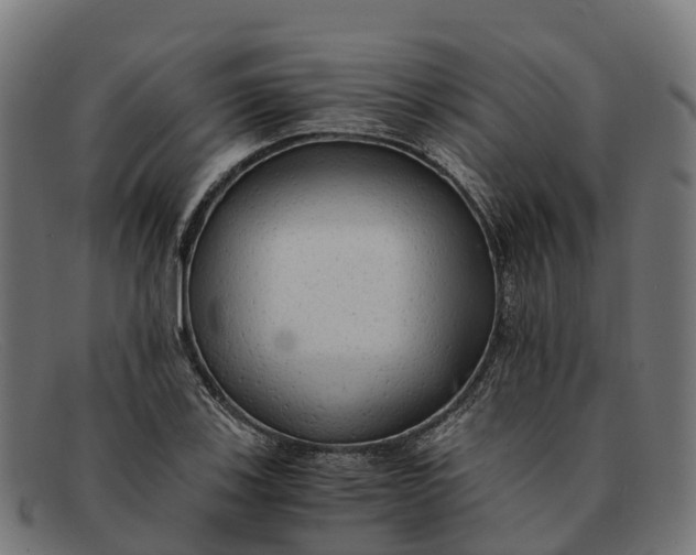 X0000091681123200709131542