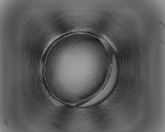 X0000091681124200709131542