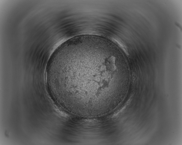 X0000091681125200709131542