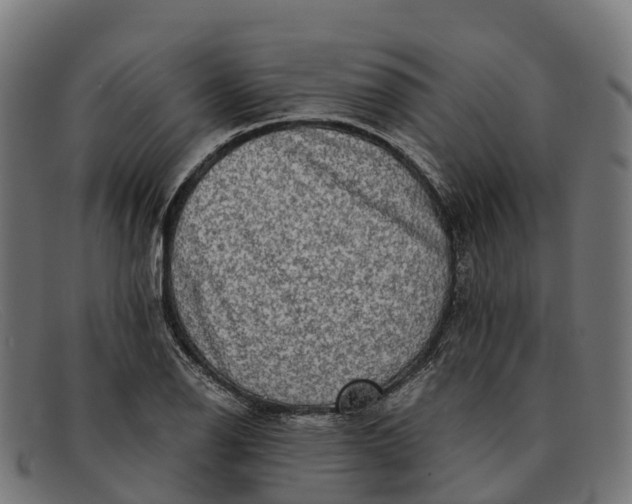 X0000091681126200709131542