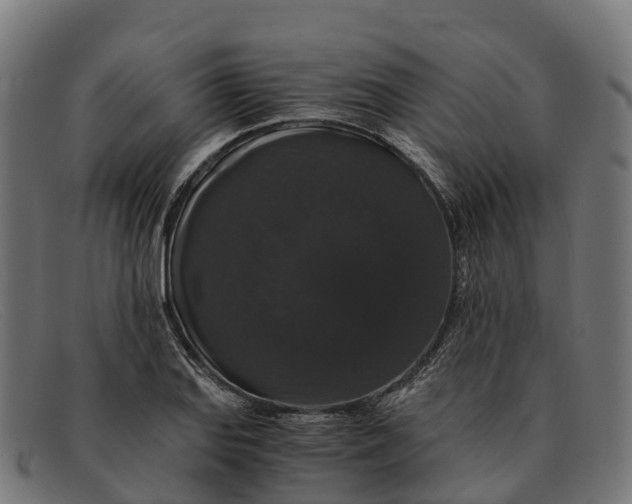 X0000091681127200709131542