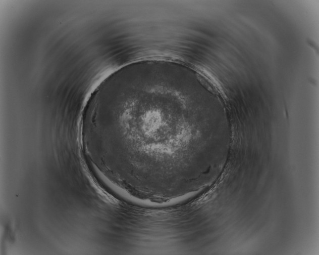 X0000091681128200709131542