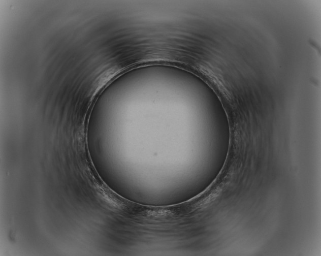 X0000091681129200709131542