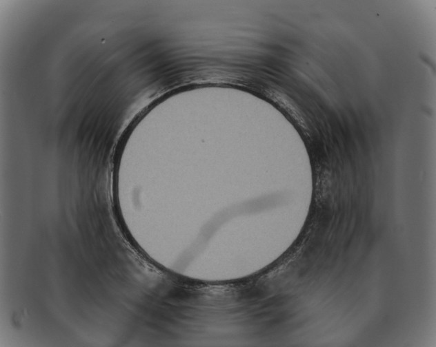 X0000091681130200709131542