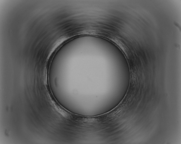 X0000091681131200709131542