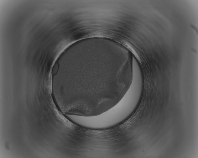 X0000091681132200709131542