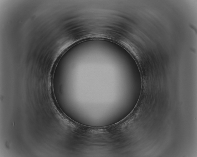 X0000091681133200709131542