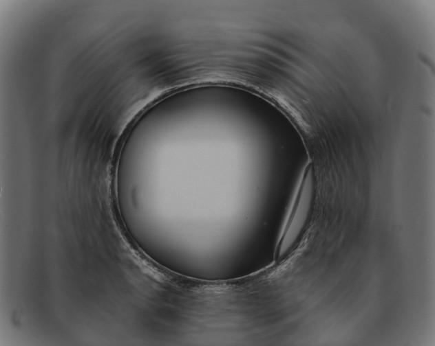 X0000091681134200709131542