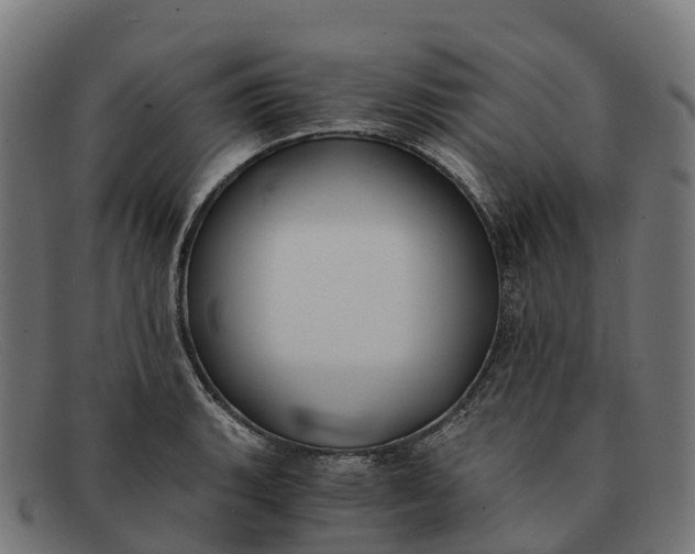 X0000091681135200709131542