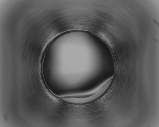 X0000091681136200709131542