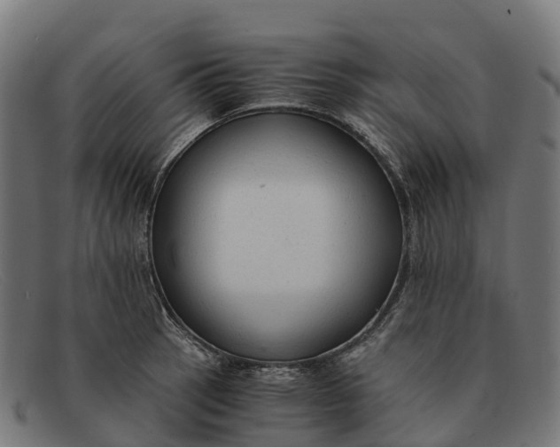 X0000091681137200709131542