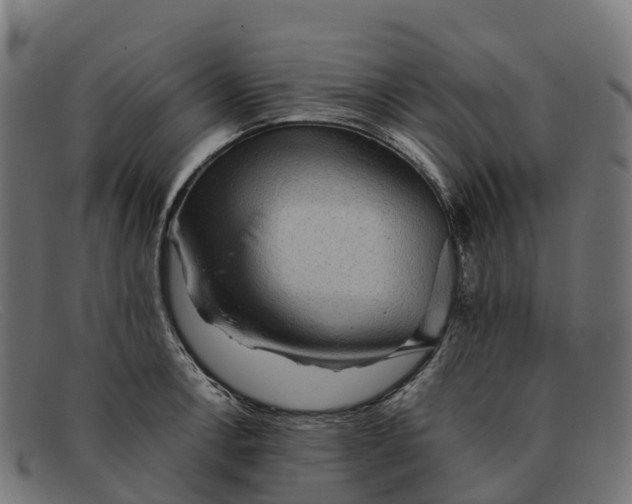 X0000091681138200709131542