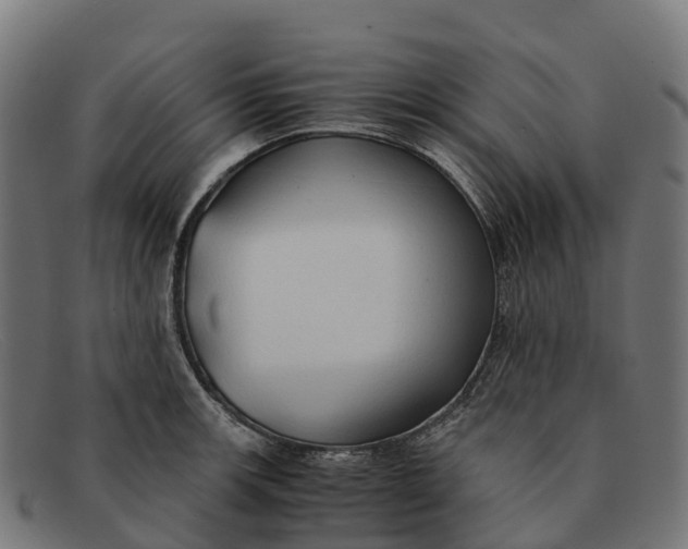 X0000091681139200709131542