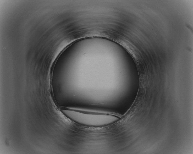 X0000091681140200709131542