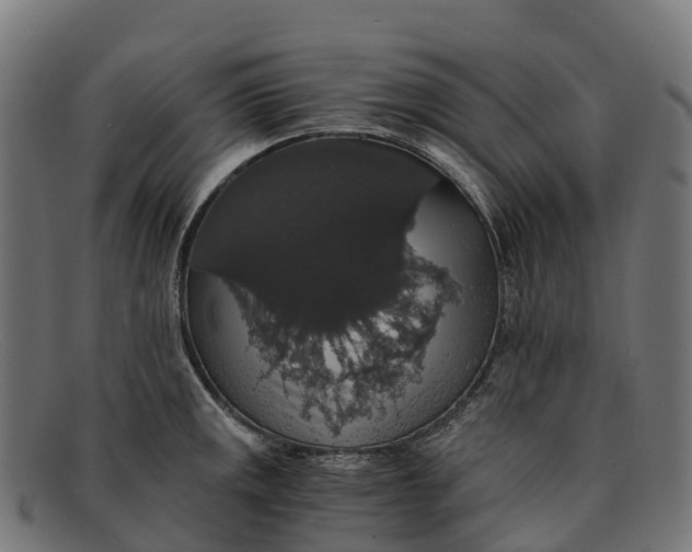 X0000091681141200709131542