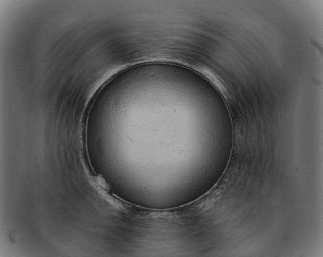 X0000091681142200709131542