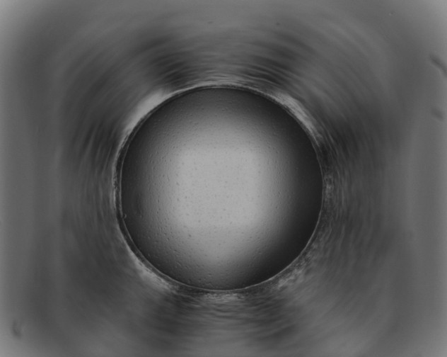 X0000091681143200709131542