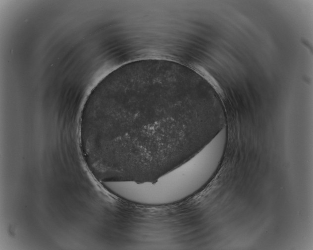 X0000091681144200709131542