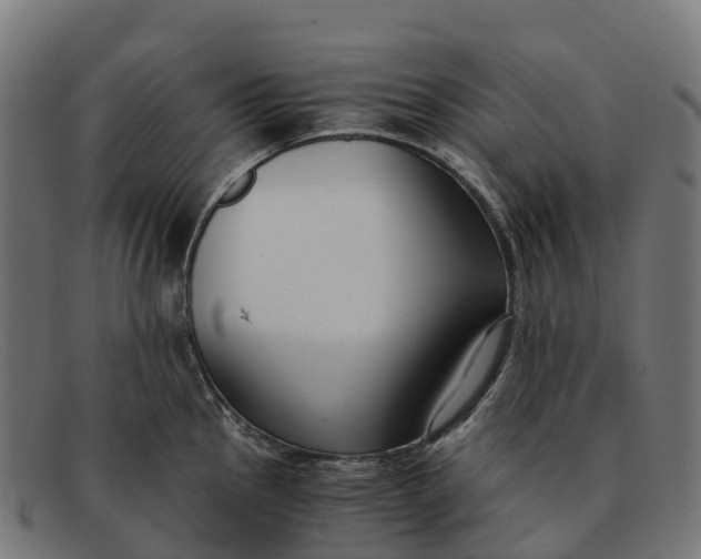 X0000091681145200709131542