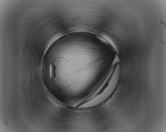 X0000091681146200709131542