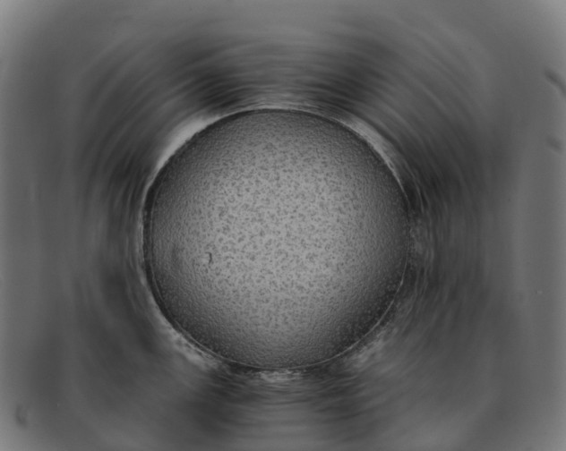 X0000091681147200709131542