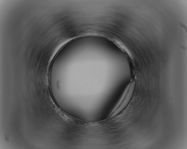 X0000091681148200709131542