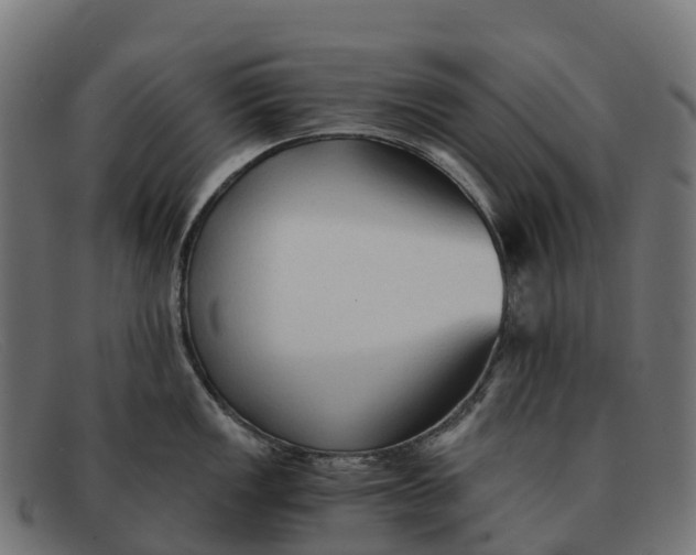 X0000091681149200709131542